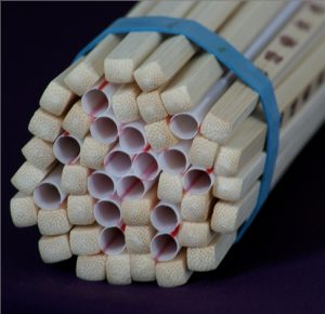 Vascular bundle of a branch illustrated by a bundle of chopsticks and straws